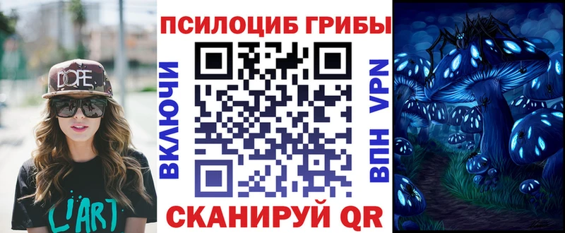 Псилоцибиновые грибы Psilocybe  даркнет телеграм  Ряжск 